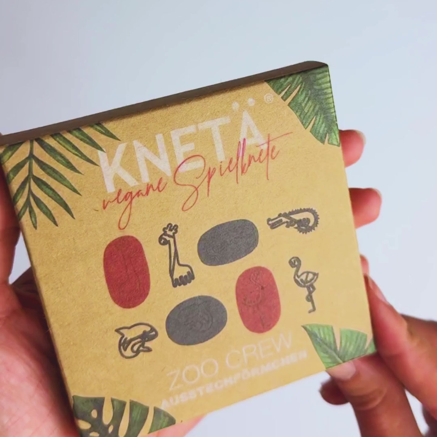 knetä uitsteekvormen boerderijdieren - 4st | 1967826 | video