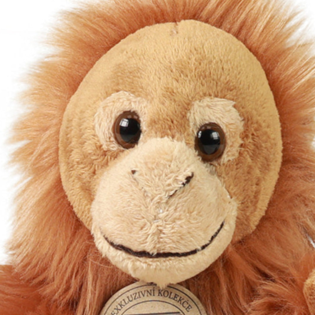 rappa-knuffelaap-orang-oetan-18-cm-
RAP240469-4