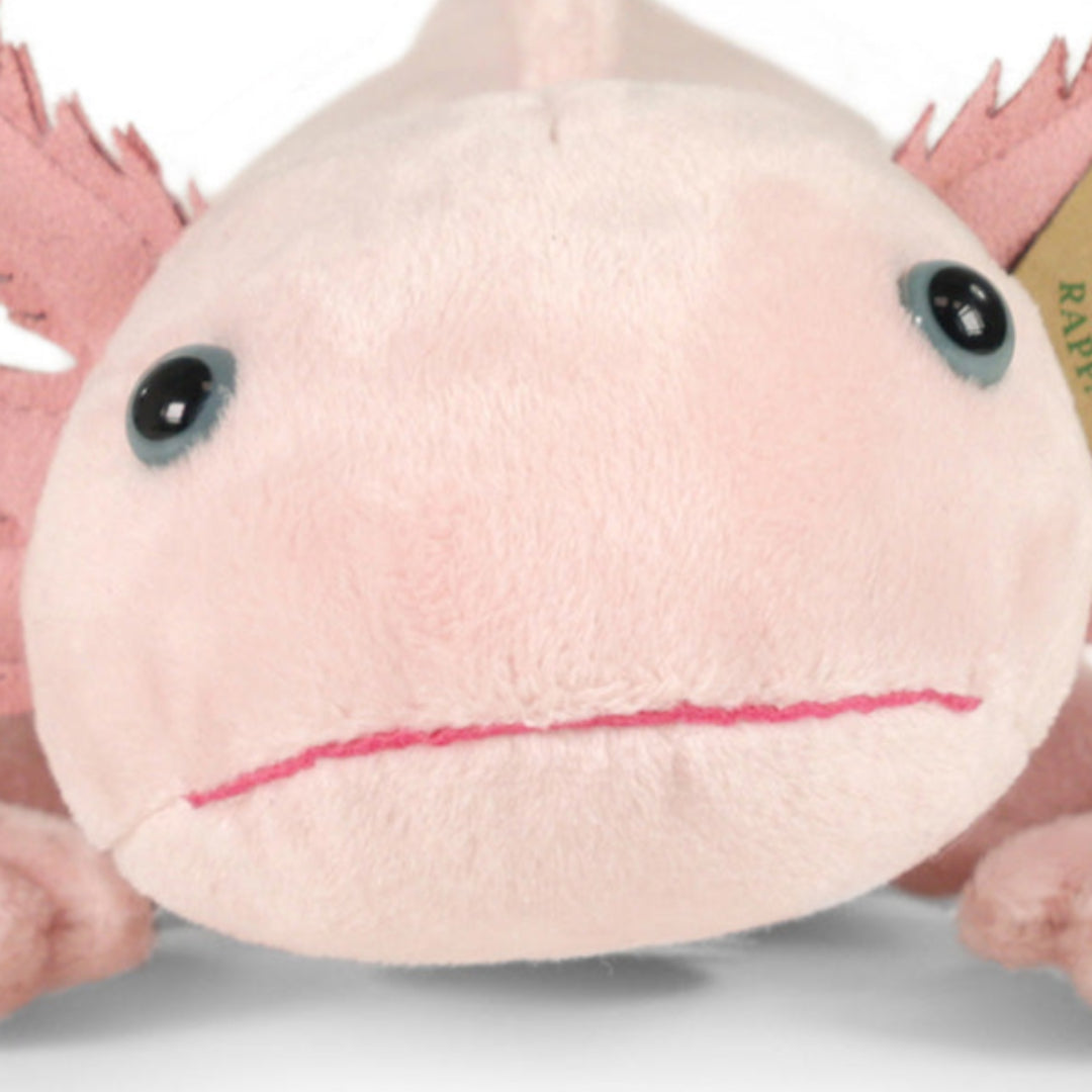 rappa-knuffelaxolotl-33-cm-RAP222755-4