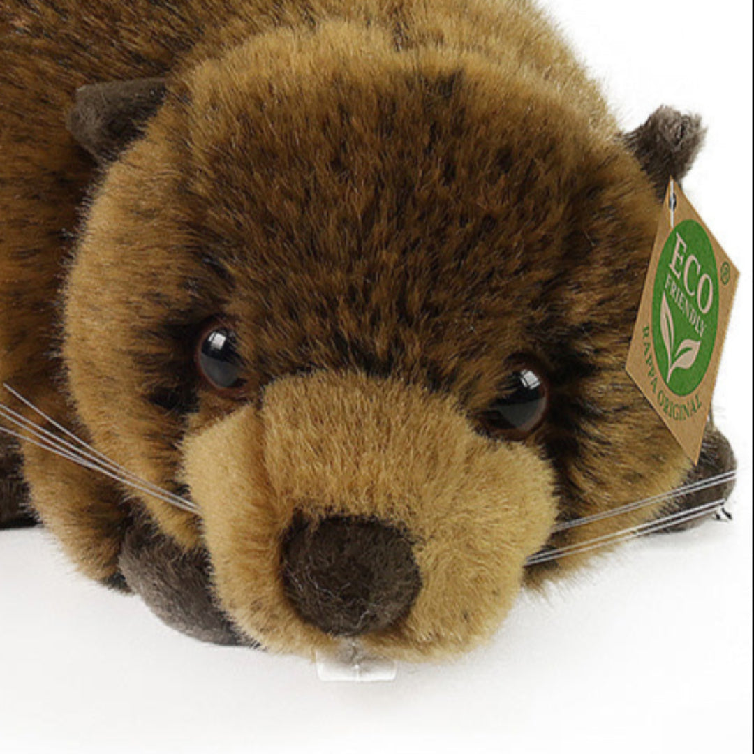 rappa-knuffelbever-28-cm-RAP221109-4