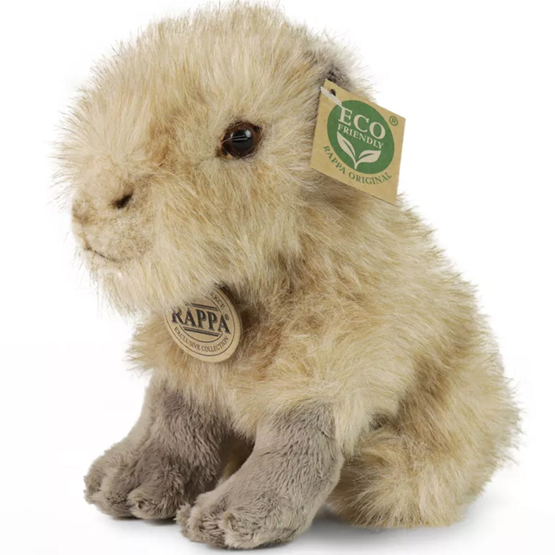 rappa knuffelcapibara - 18 cm | RAP221734 | 0