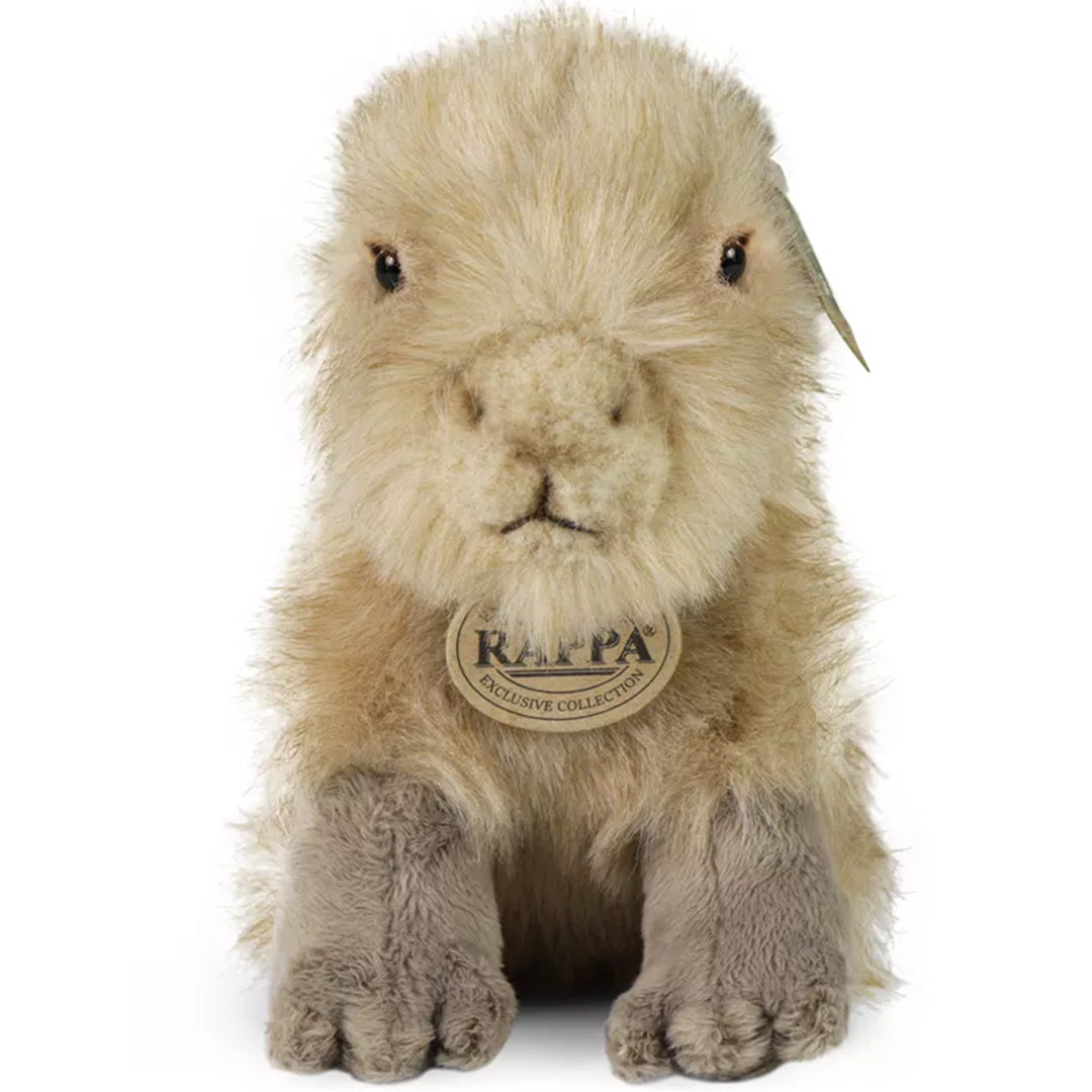 rappa knuffelcapibara - 18 cm | RAP221734 | 1