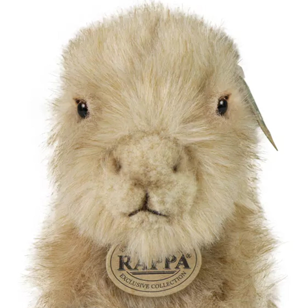 rappa knuffelcapibara - 18 cm | RAP221734 | 3