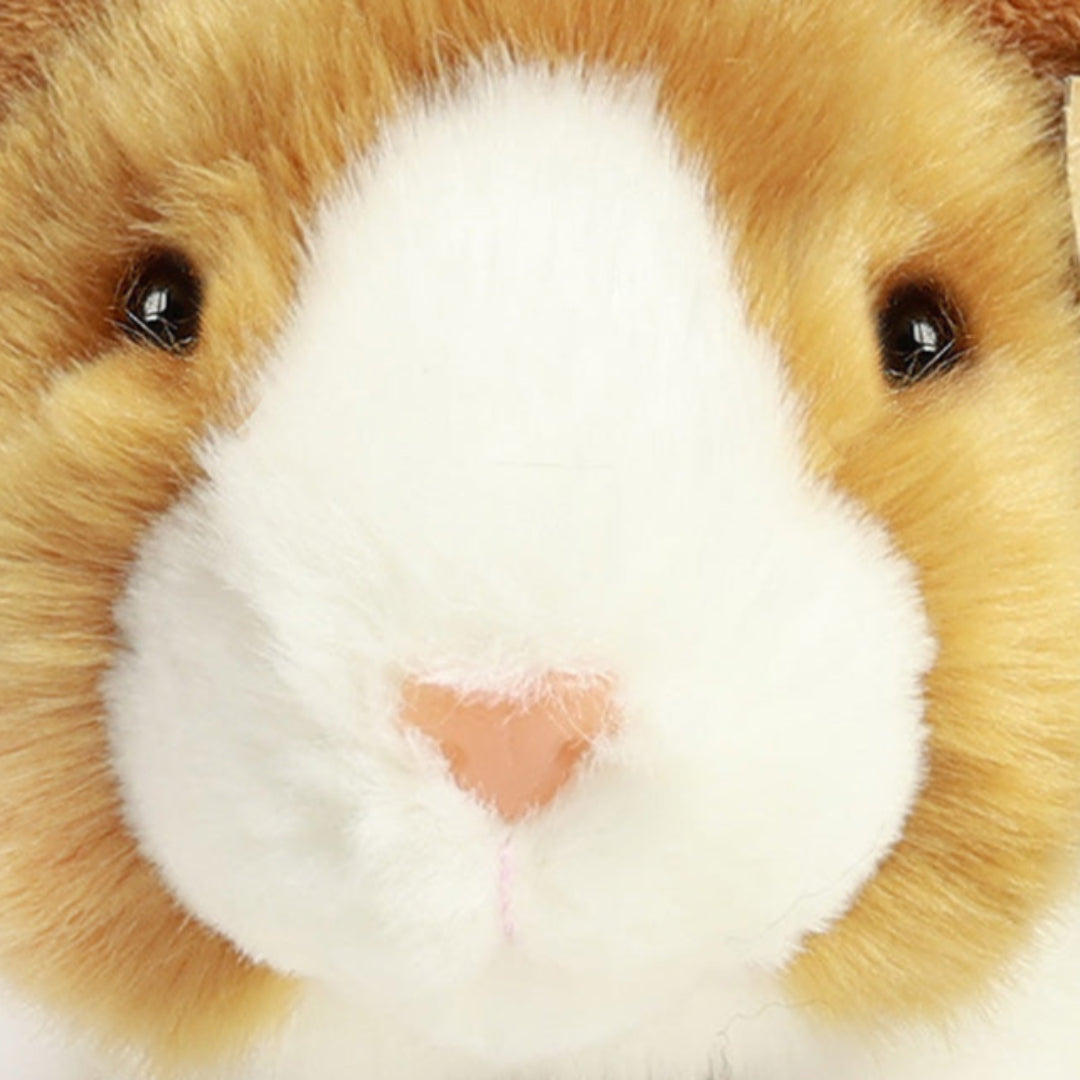 rappa-knuffelcavia-15-cm-RAP241275-4