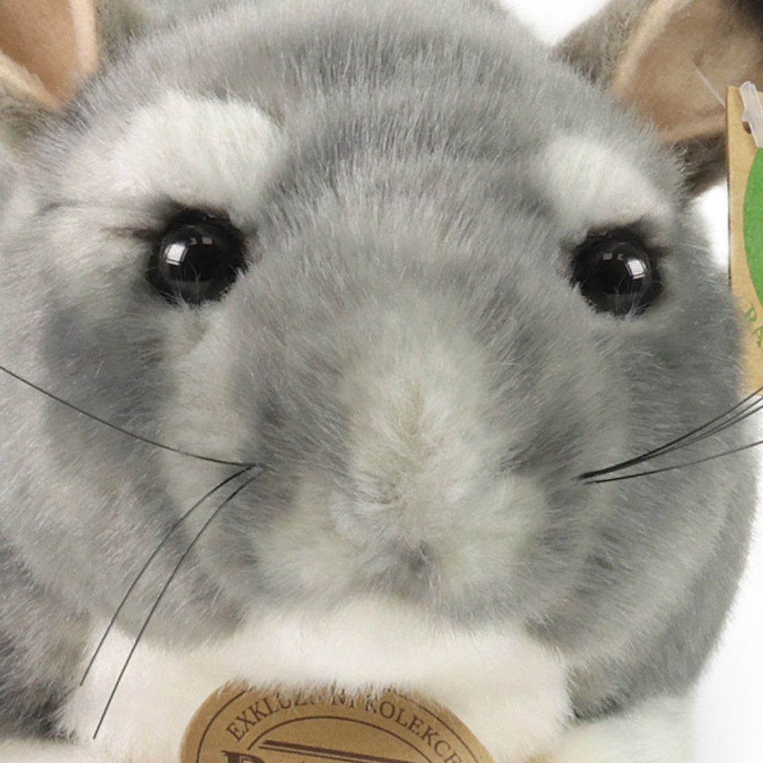 rappa-knuffelchinchilla-22-cm-RAP221055-4