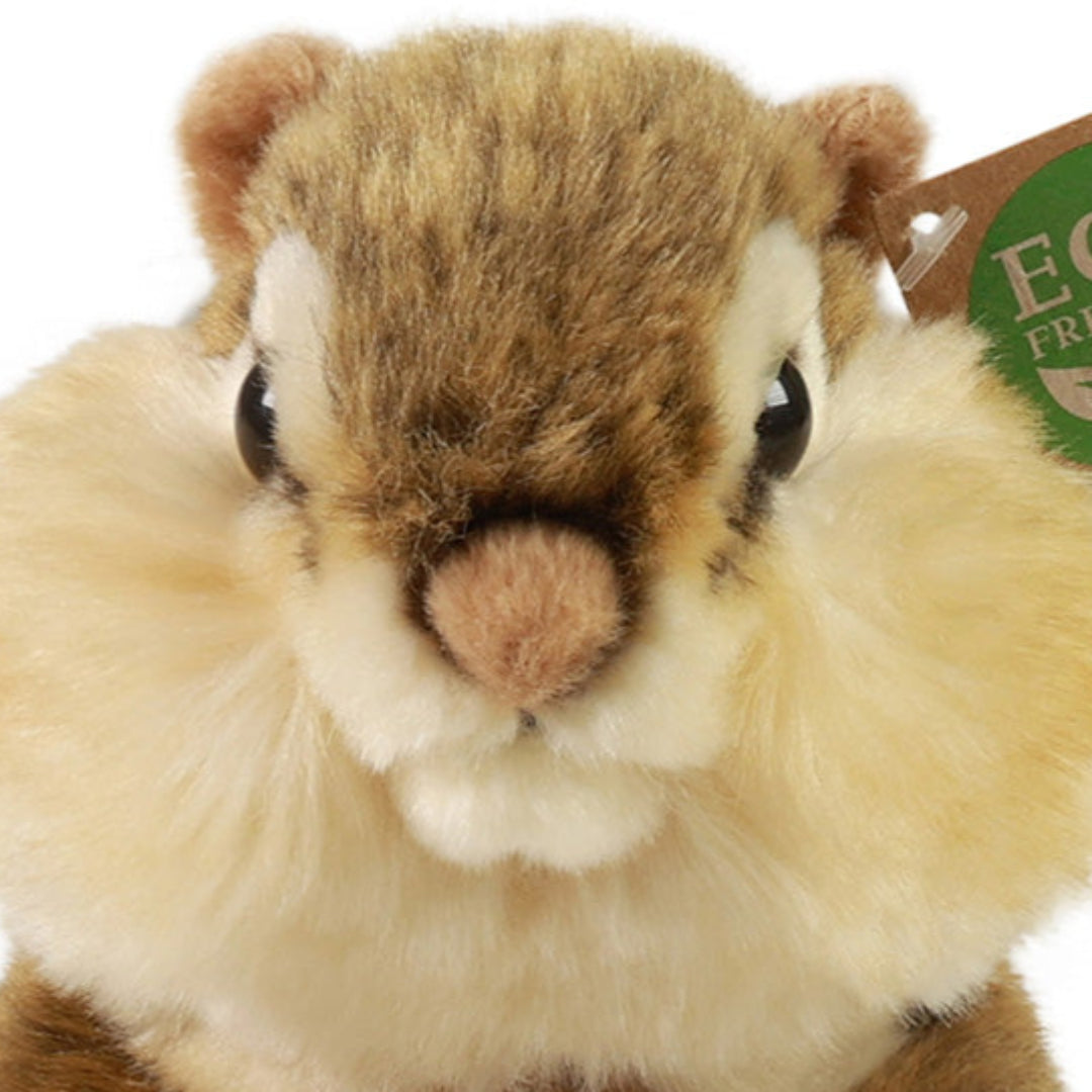 rappa-knuffeleekhoorn-20-cm-RAP231429-4