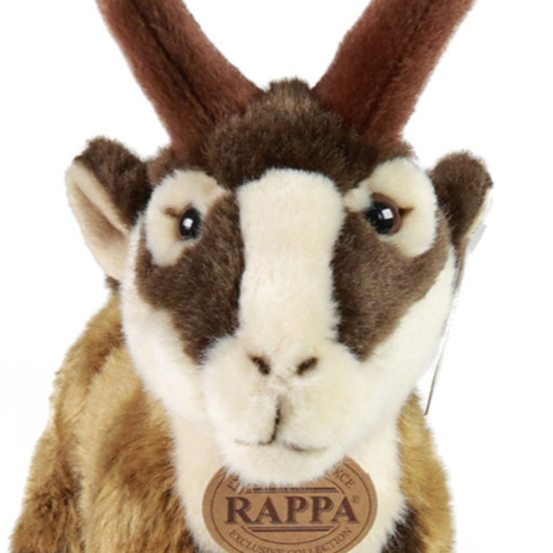 rappa-knuffelgemsbok-28-cm-RAP220805-4