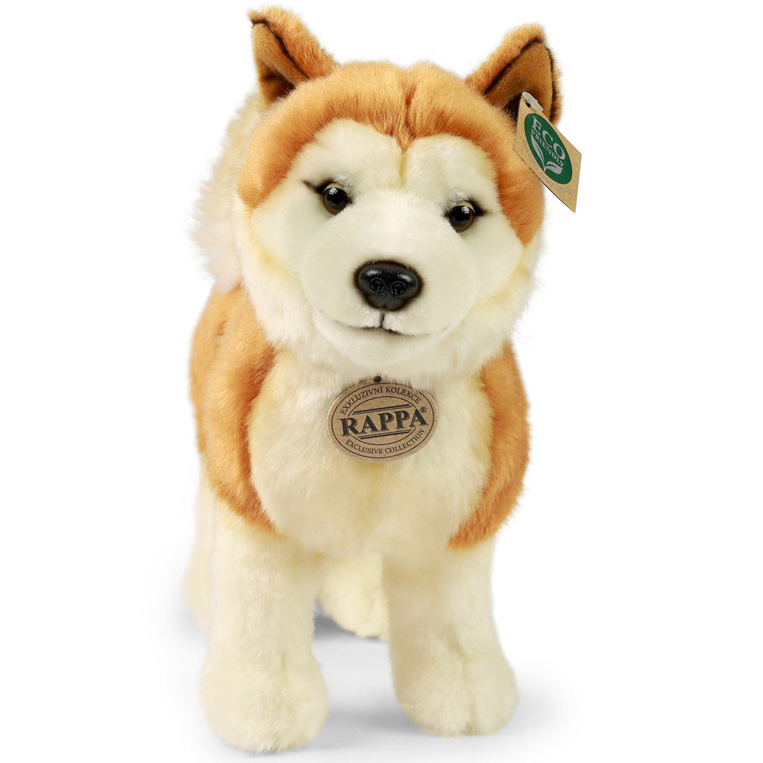 rappa-knuffelhond-akita-inu-30-cm-RAP240353-2