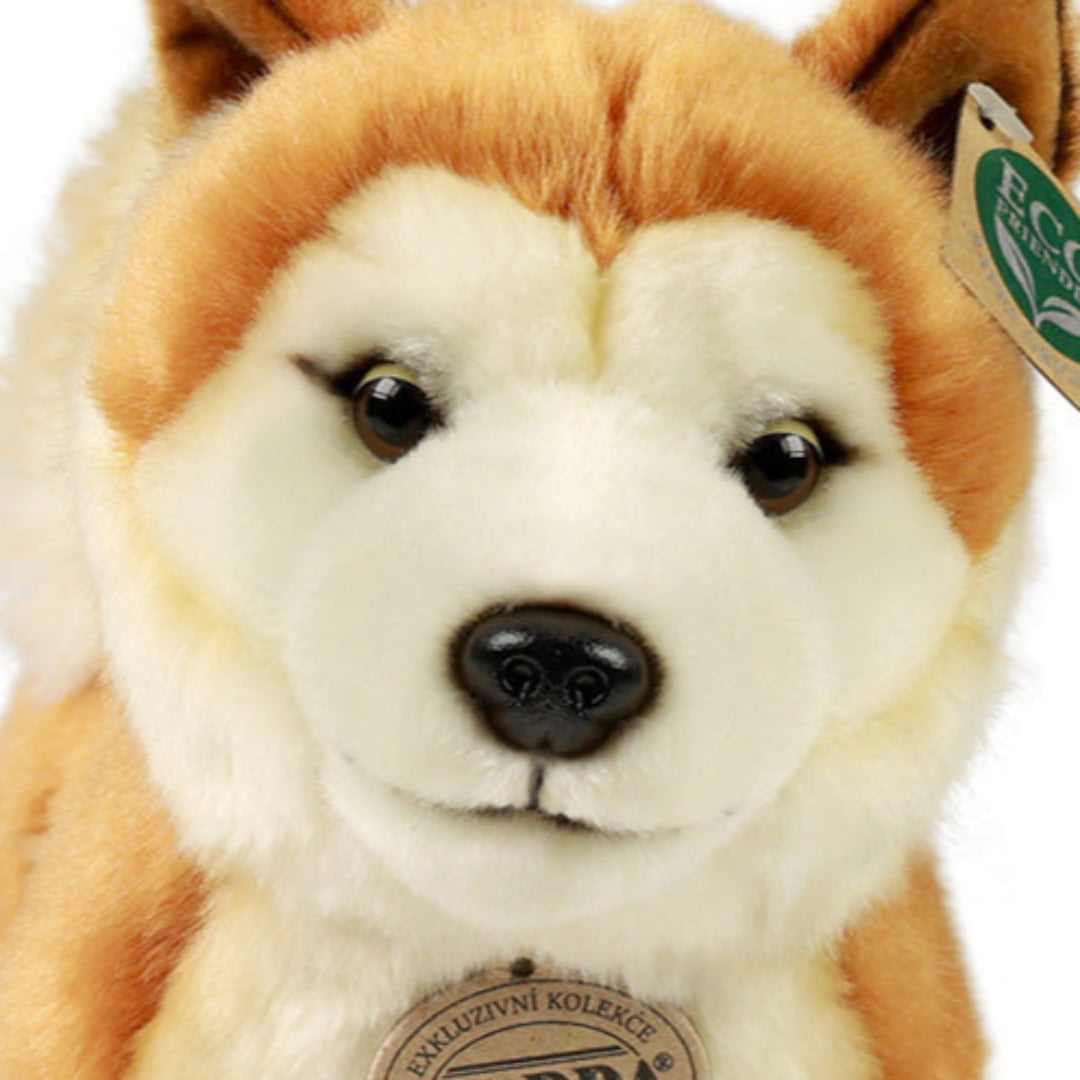 rappa-knuffelhond-akita-inu-30-cm-RAP240353-4