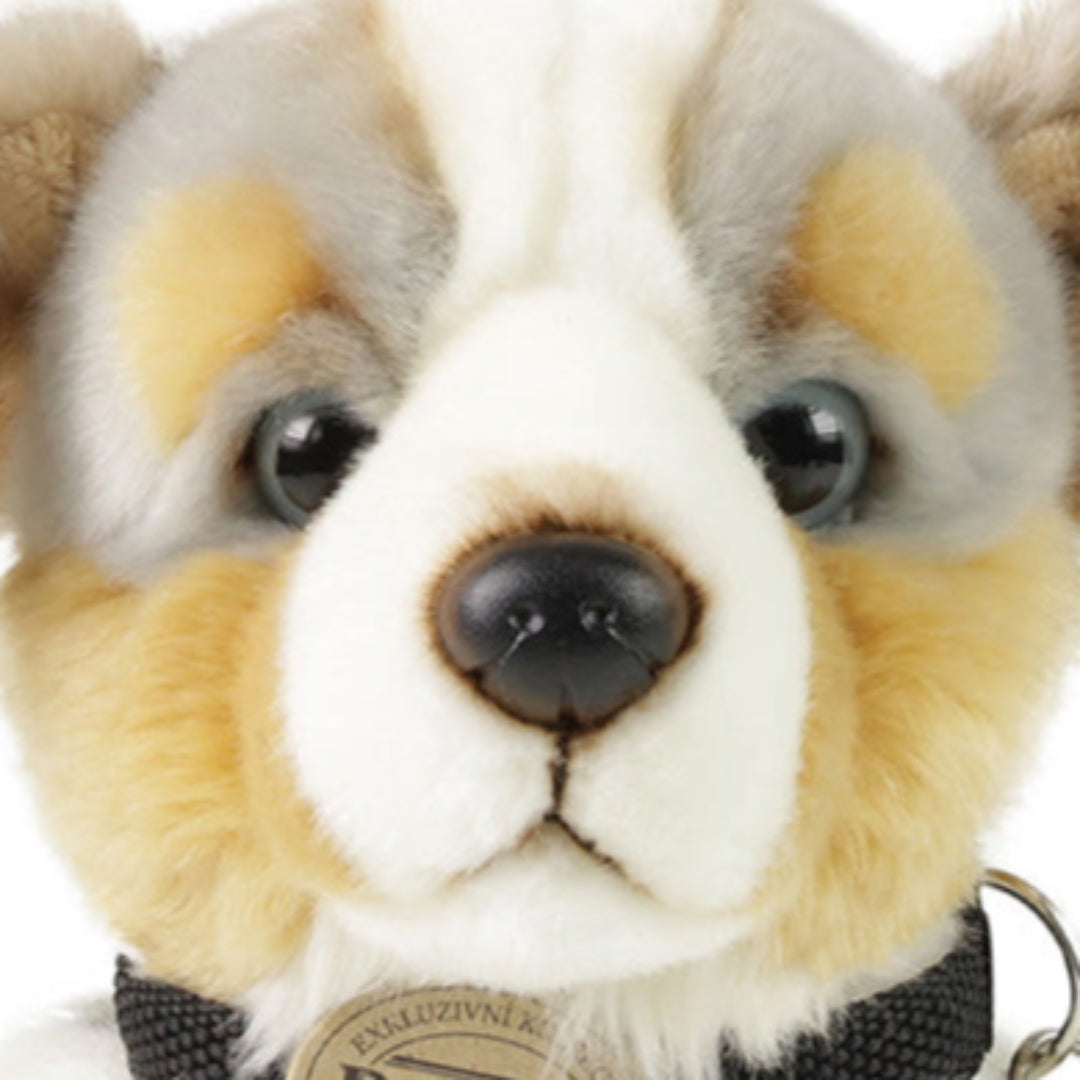 rappa-knuffelhond-australian-shepherd-28-cm-RAP230071-4