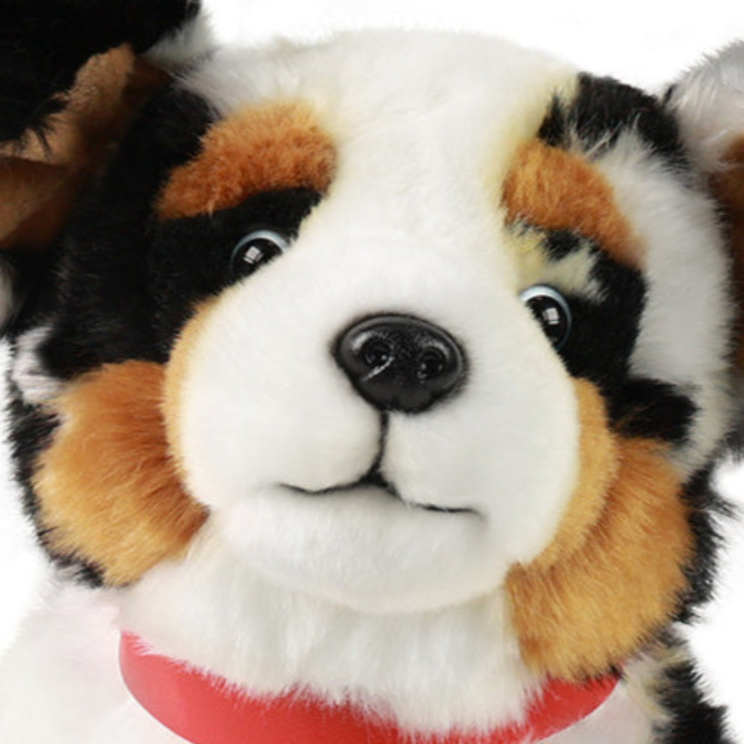 rappa-knuffelhond-australian-spaniel-30-cm-RAP240186-4