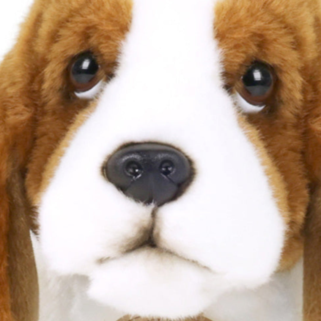 rappa-knuffelhond-basset-32-cm-RAP209855-4