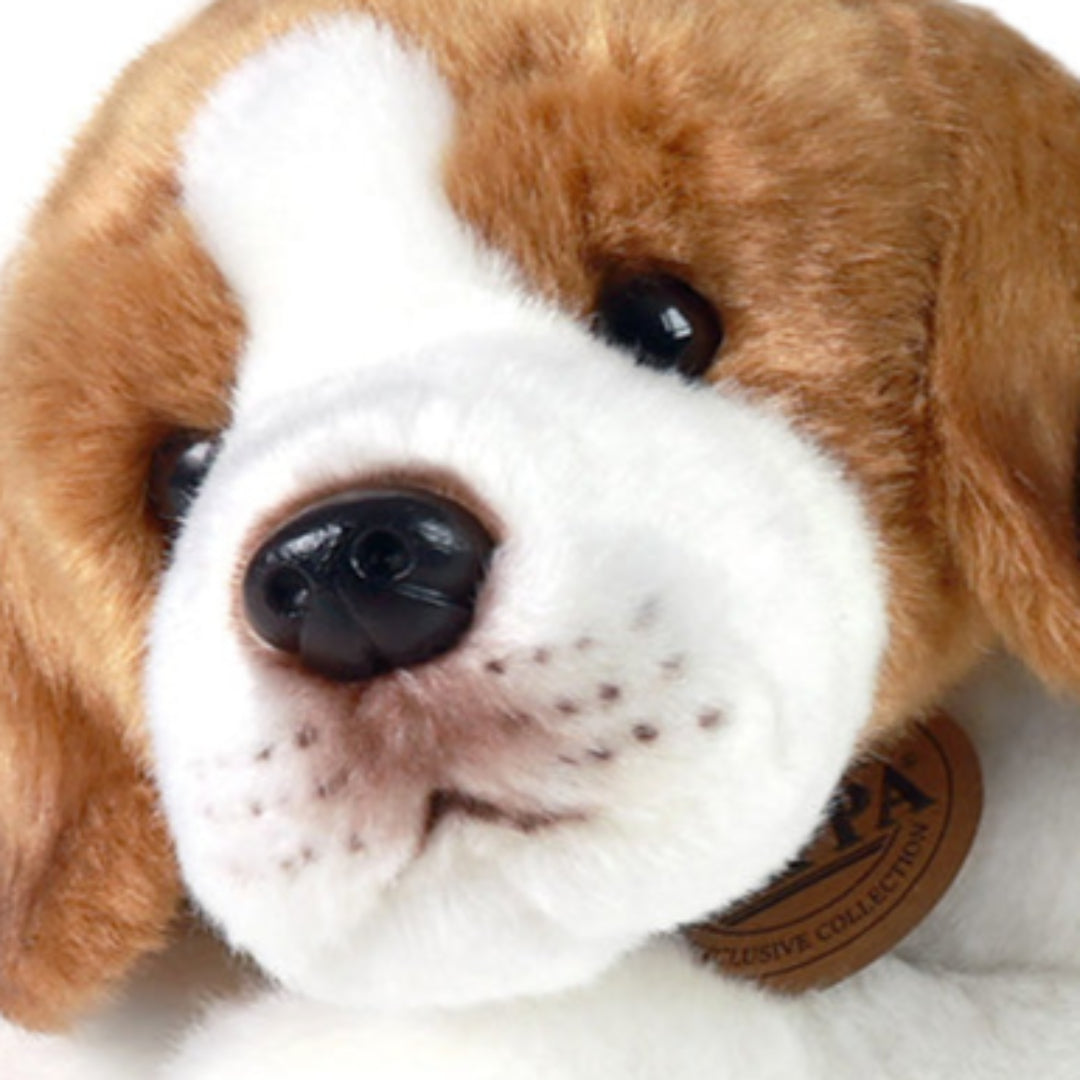 rappa-knuffelhond-beagle-30-cm-RAP203952-4