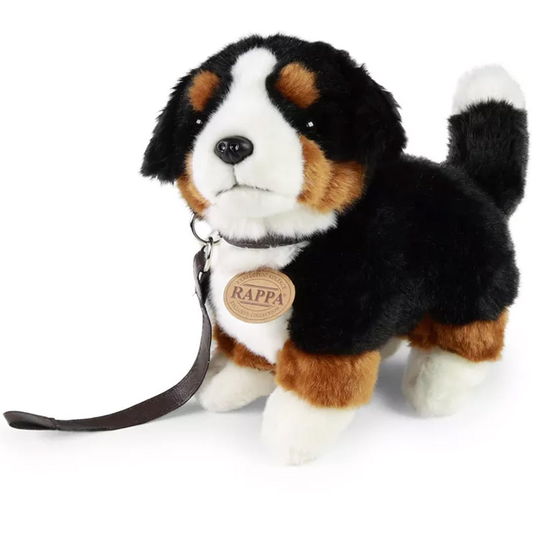 rappa knuffelhond berner - 22 cm | RAP211292 | 0