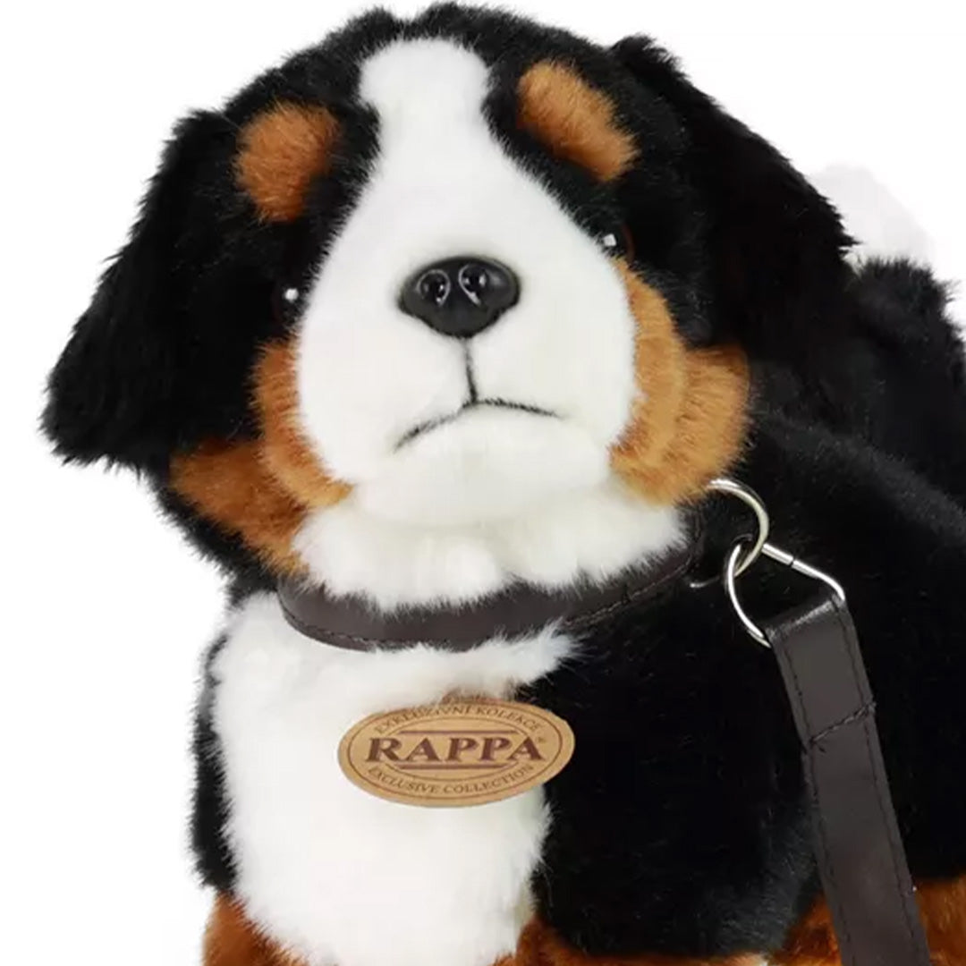 rappa knuffelhond berner - 22 cm | RAP211292 | 1