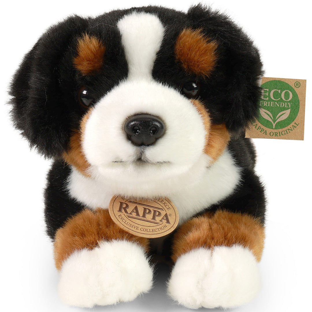 rappa-knuffelhond-berner-30-cm-RAP214286-2