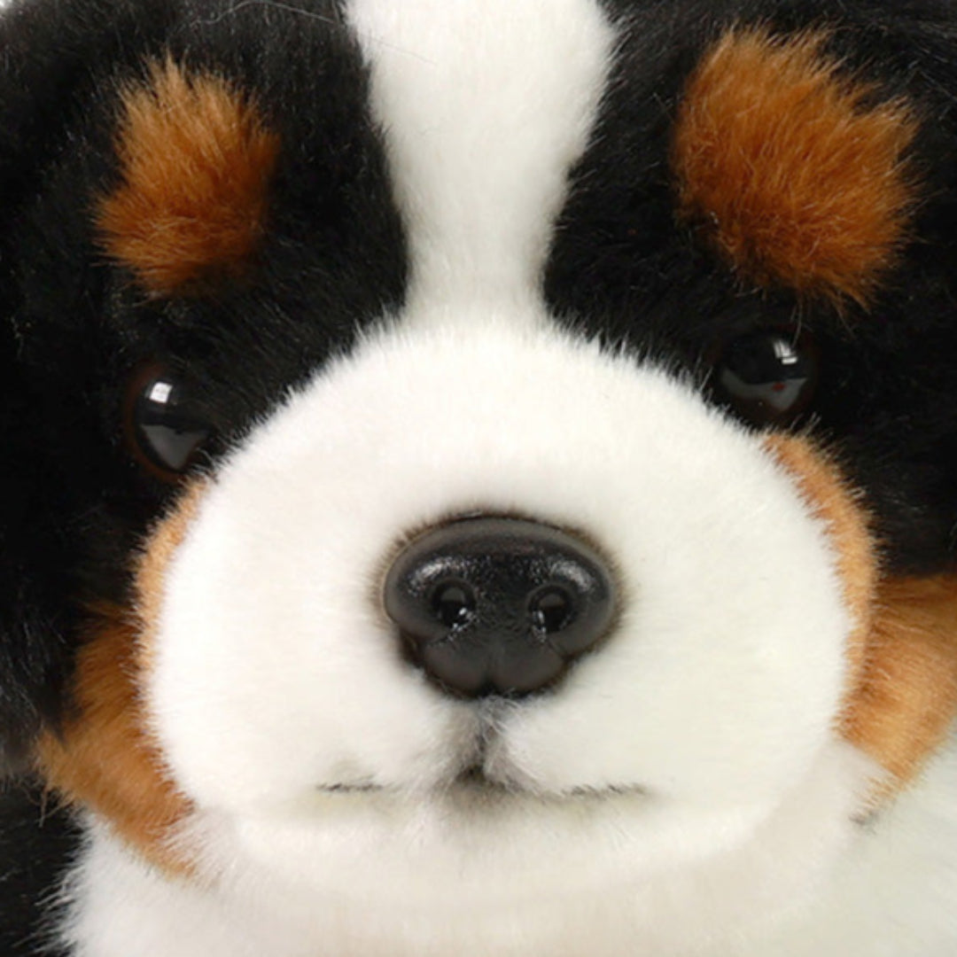 rappa-knuffelhond-berner-30-cm-RAP214286-4