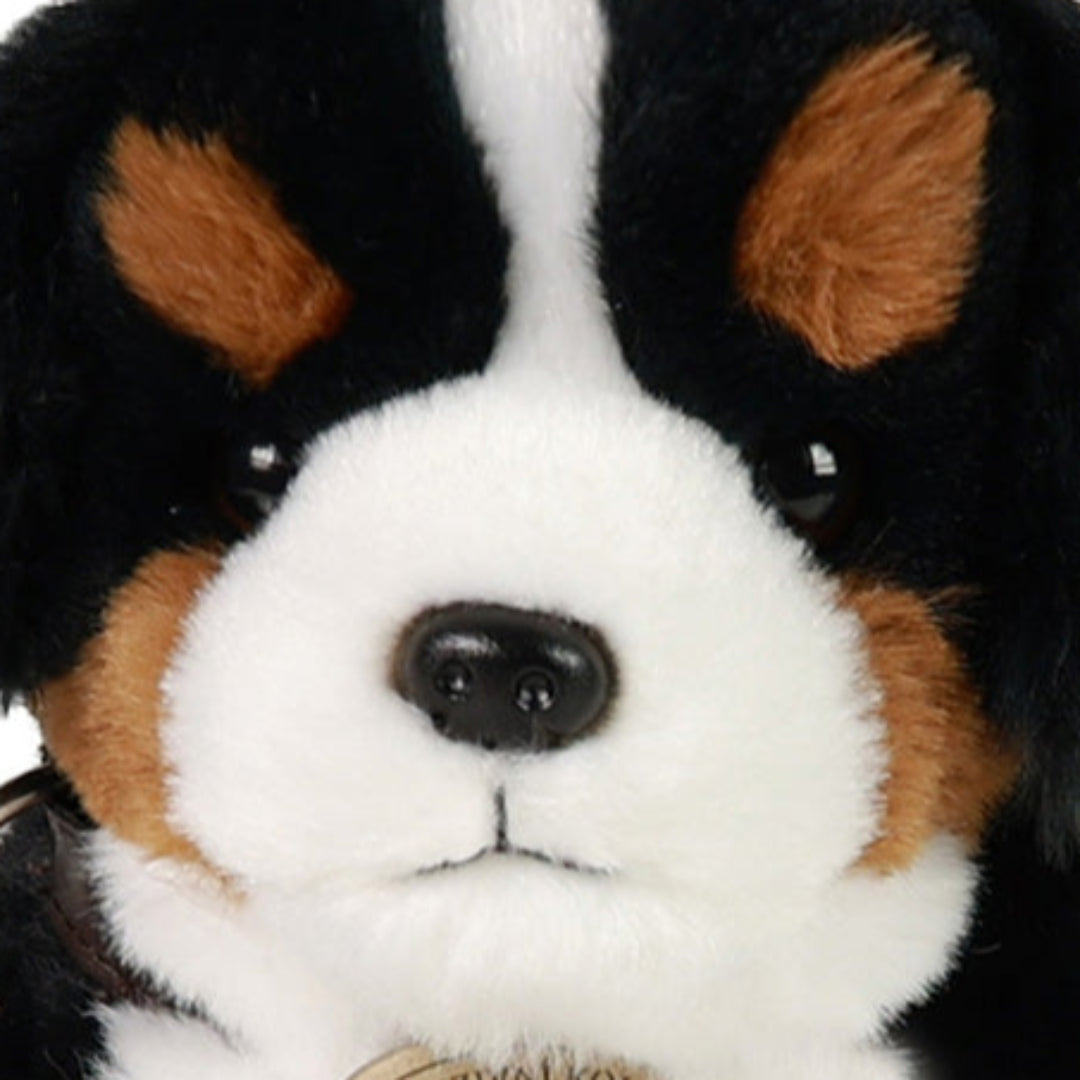 rappa-knuffelhond-berner-met-geluid-20-cm-RAP231085-4