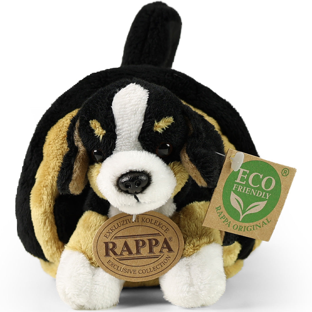 rappa-knuffelhond-berner-met-krat-15-cm-RAP211759-2