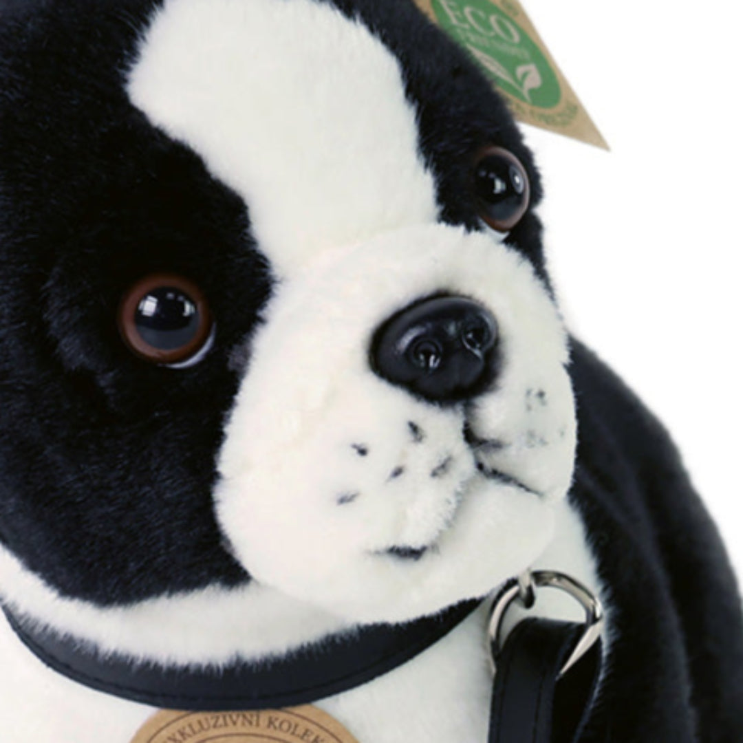 rappa-knuffelhond-boston-terrier-23-cm-RAP204416-4