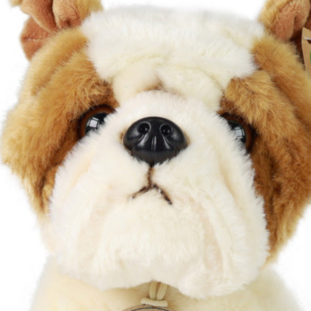 rappa-knuffelhond-bulldog-28-cm-RAP844148-4
