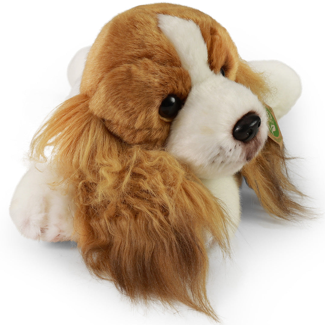 rappa-knuffelhond-cavalier-30-cm-RAP203976-3