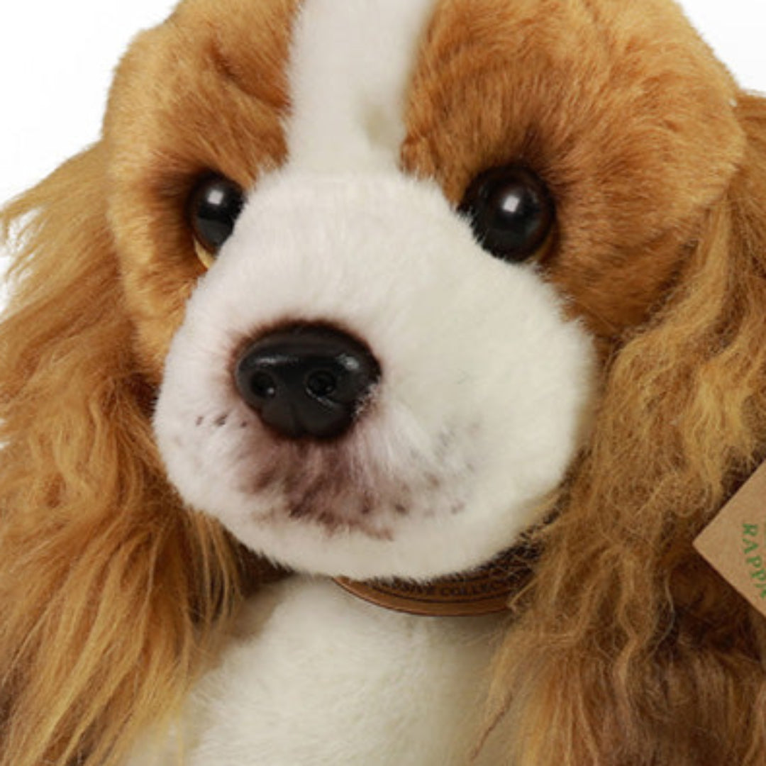 rappa-knuffelhond-cavalier-30-cm-RAP203976-4