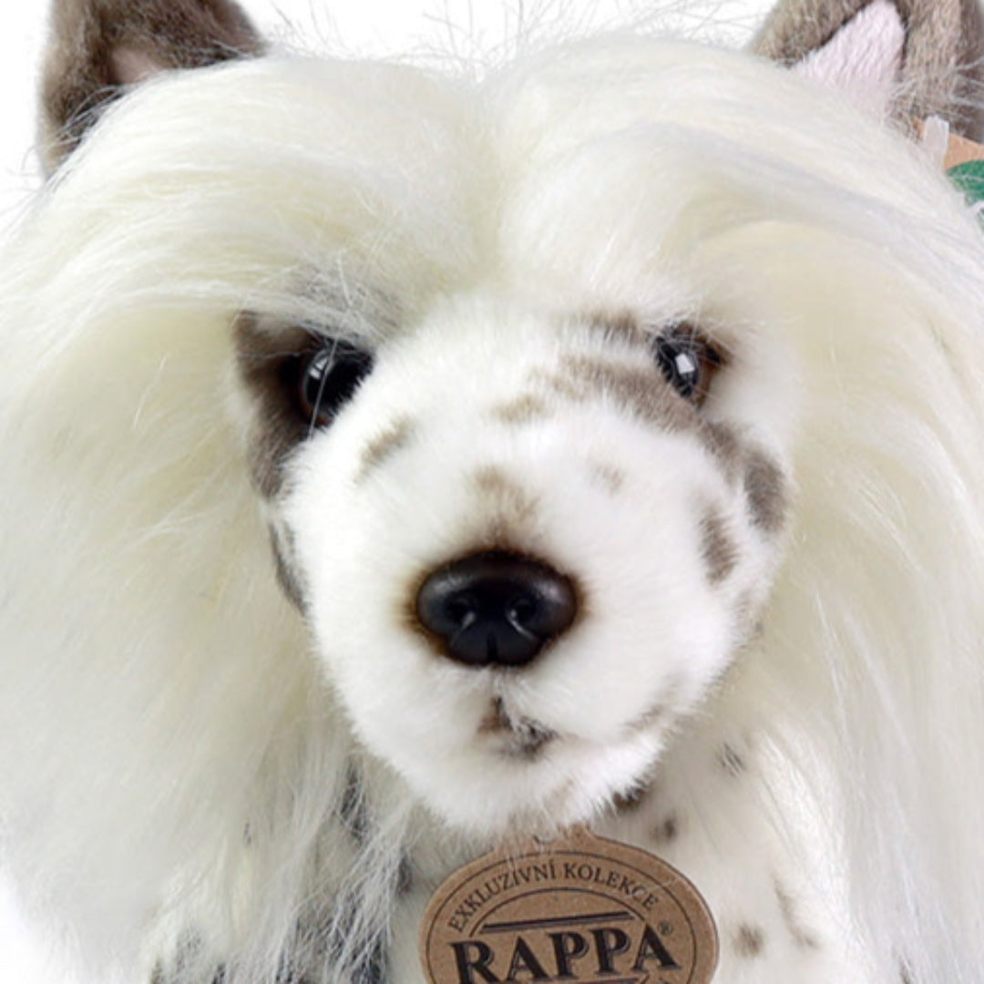 rappa-knuffelhond-chinees-28-cm-RAP230798-4