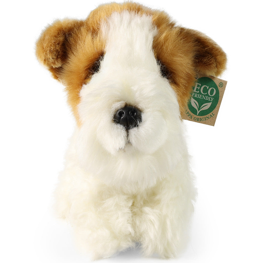 rappa-knuffelhond-fox-terrier-20-cm-RAP240520-2