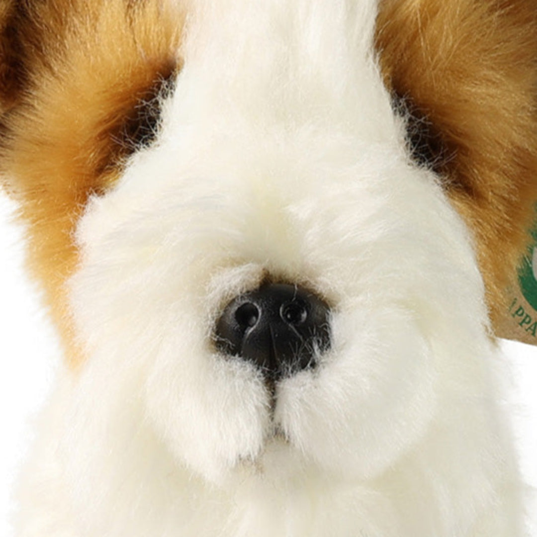 rappa-knuffelhond-fox-terrier-20-cm-RAP240520-4