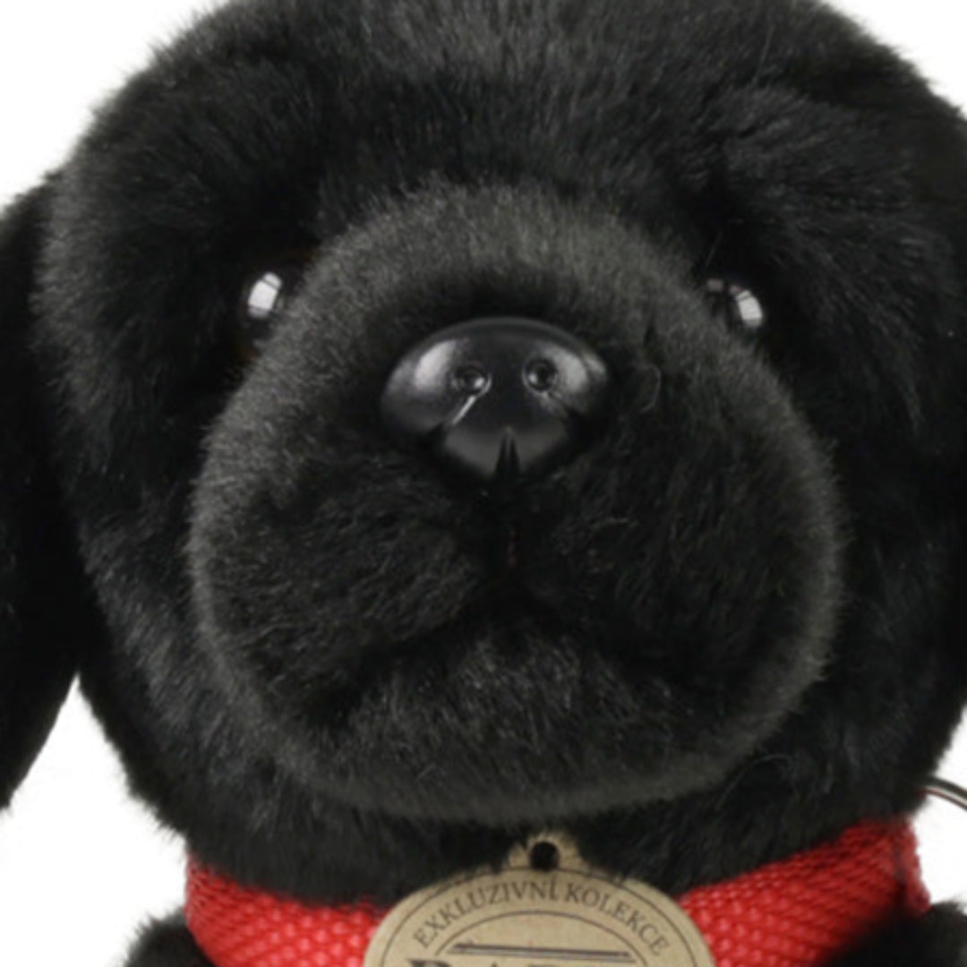 rappa-knuffelhond-labrador-28-cm-RAP230088-4