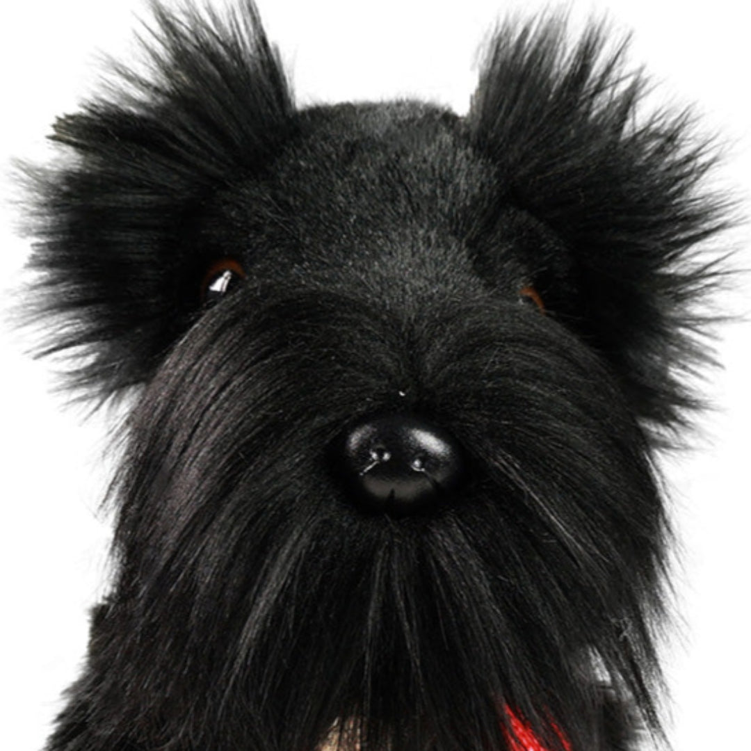 rappa-knuffelhond-schnauzer-met-riem-30-cm-RAP241251-4