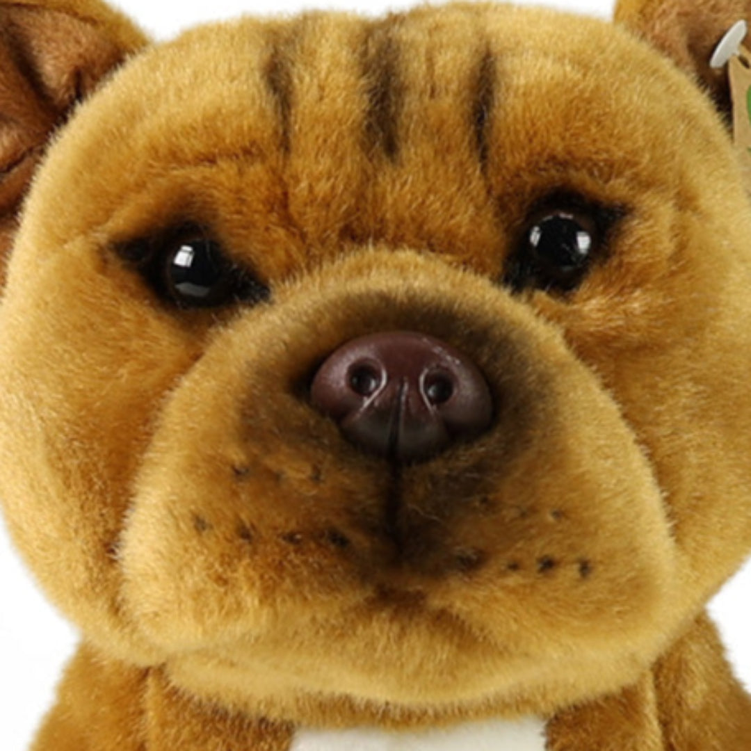 rappa-knuffelhond-stafford-bull-terrier-30-cm-RAP201804-4