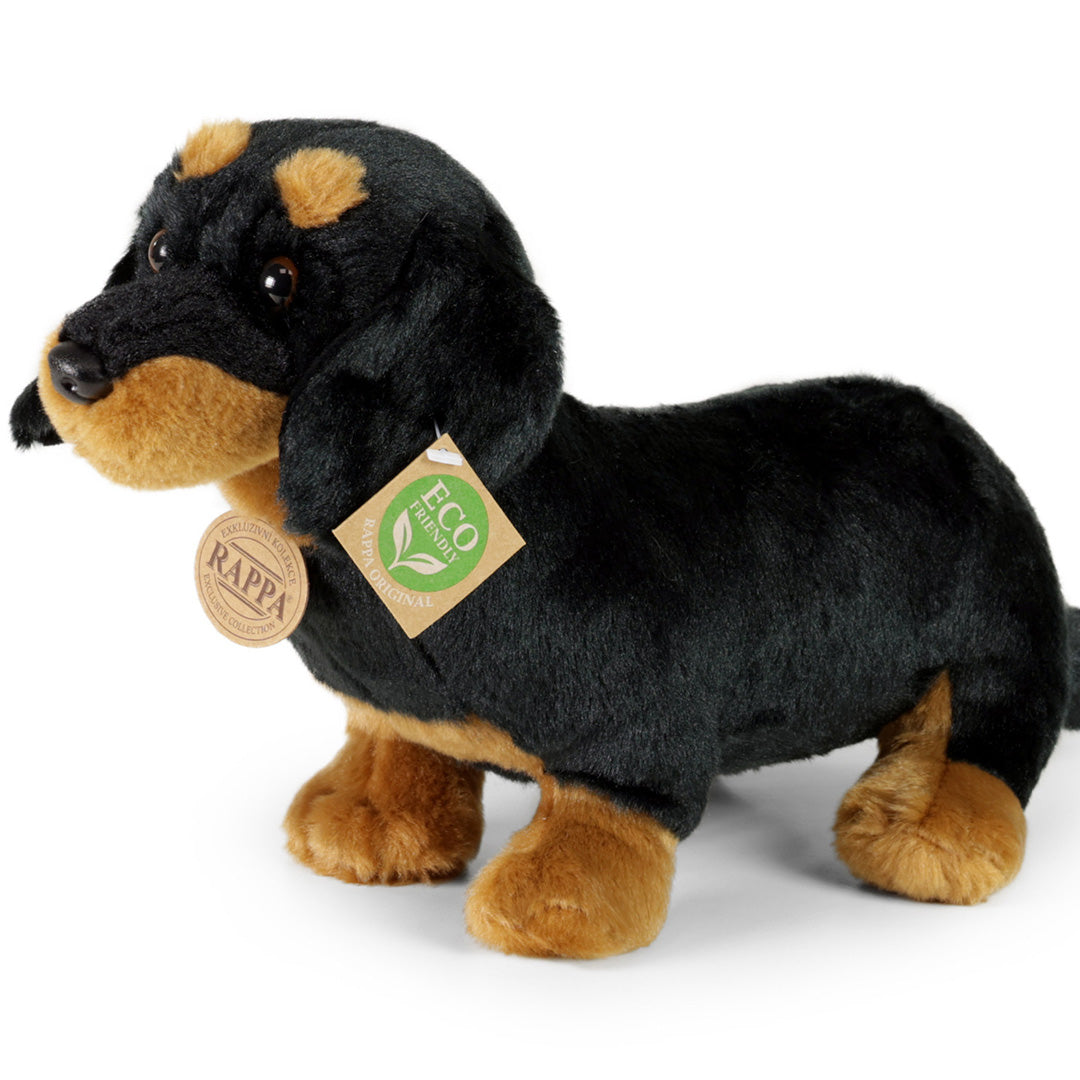 rappa-knuffelhond-teckel-30-cm-
RAP207547-1