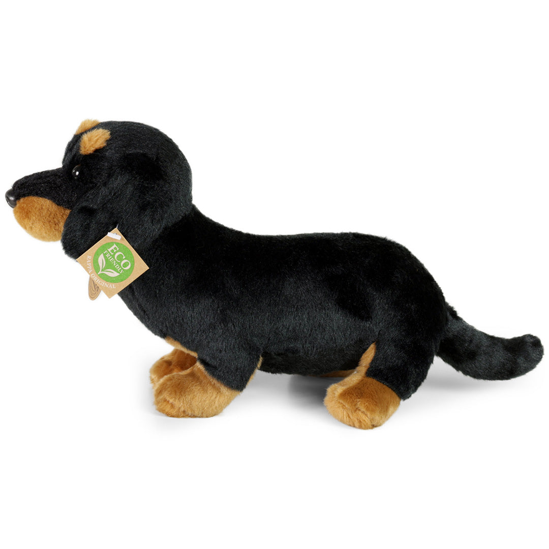 rappa-knuffelhond-teckel-30-cm-
RAP207547-3