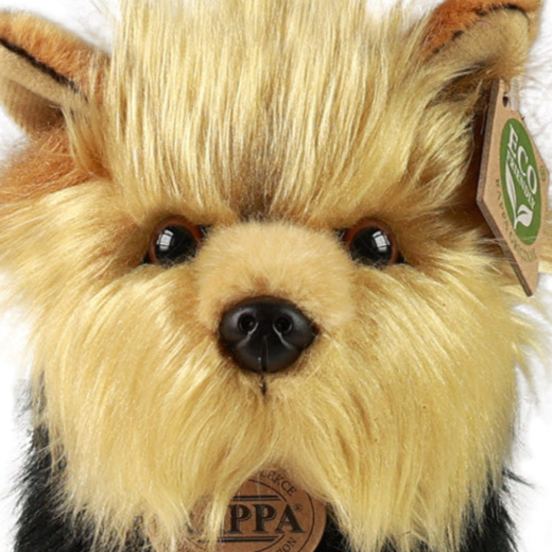 rappa-knuffelhond-yorkshire-terrier-25-cm-RAP241145-4