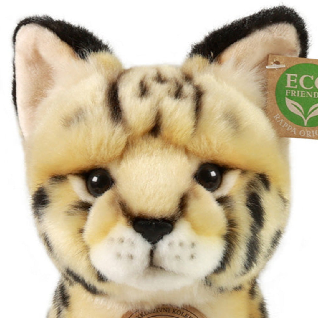 rappa-knuffelserval-23-cm-RAP241121-4