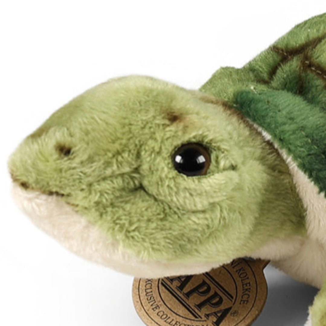 rappa-knuffelwaterschildpad-20-cm-RAP946422-4