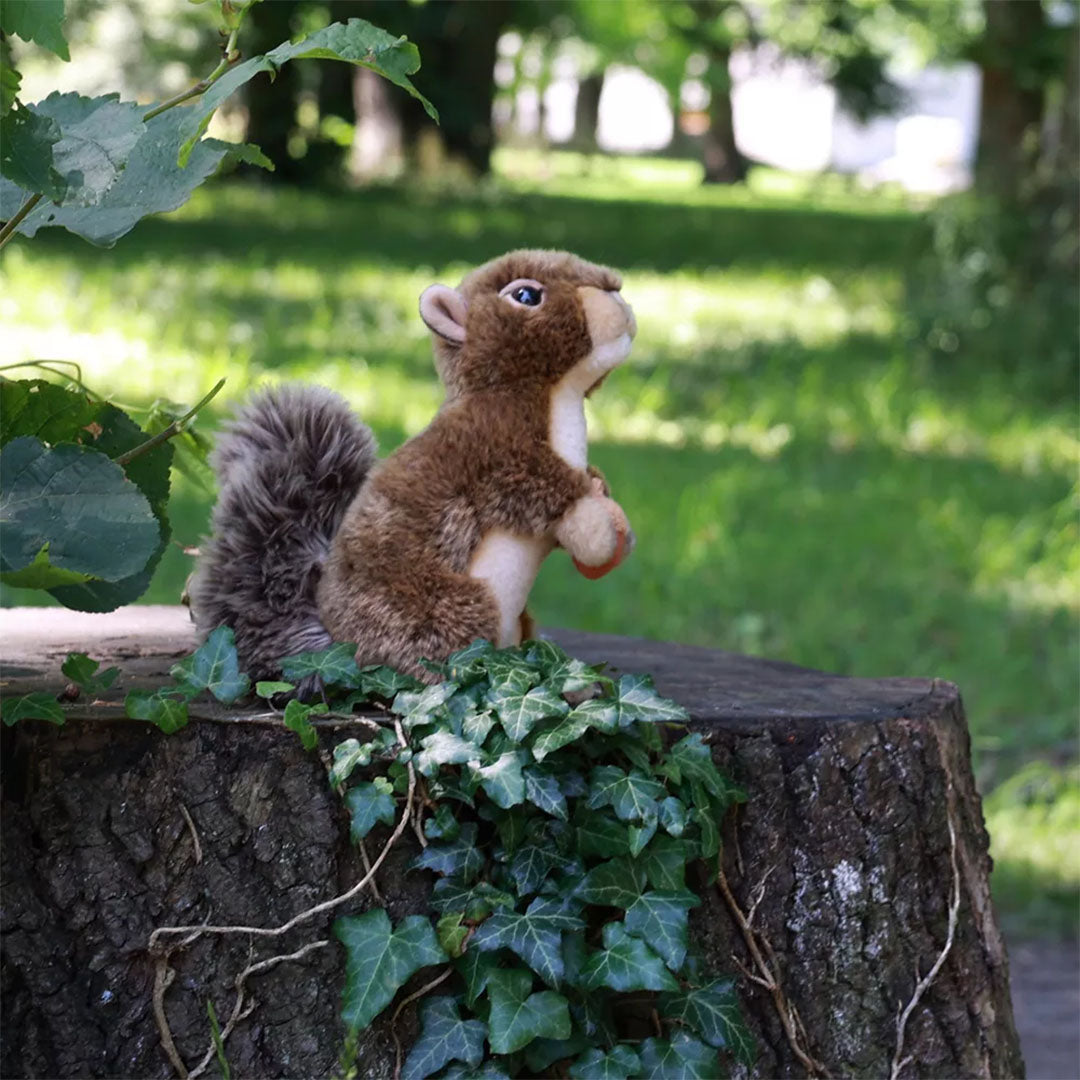 rappa-knuffeleekhoornmet-eikel-20-cm-RAP230590-2