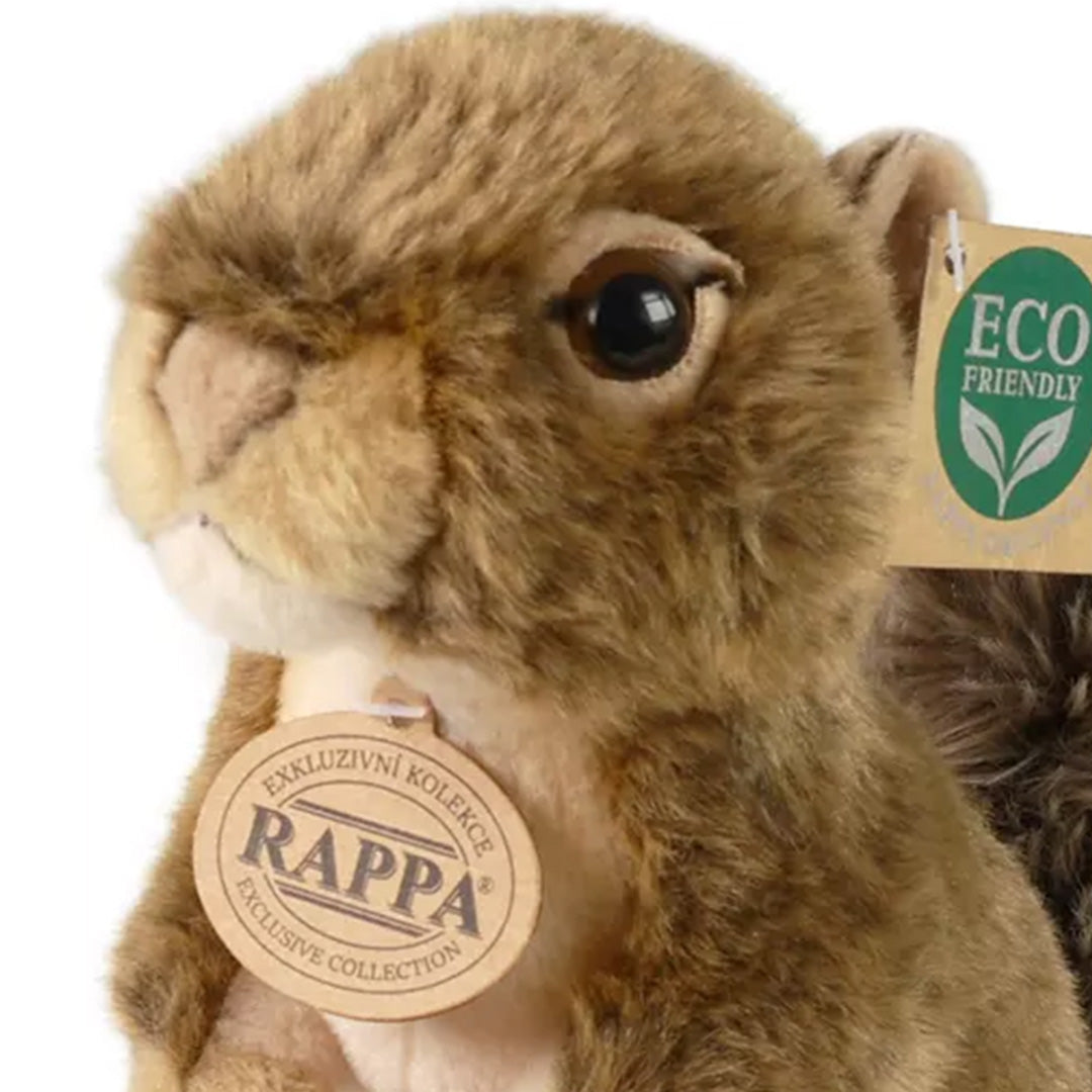 rappa-knuffeleekhoornmet-eikel-20-cm-RAP230590-4