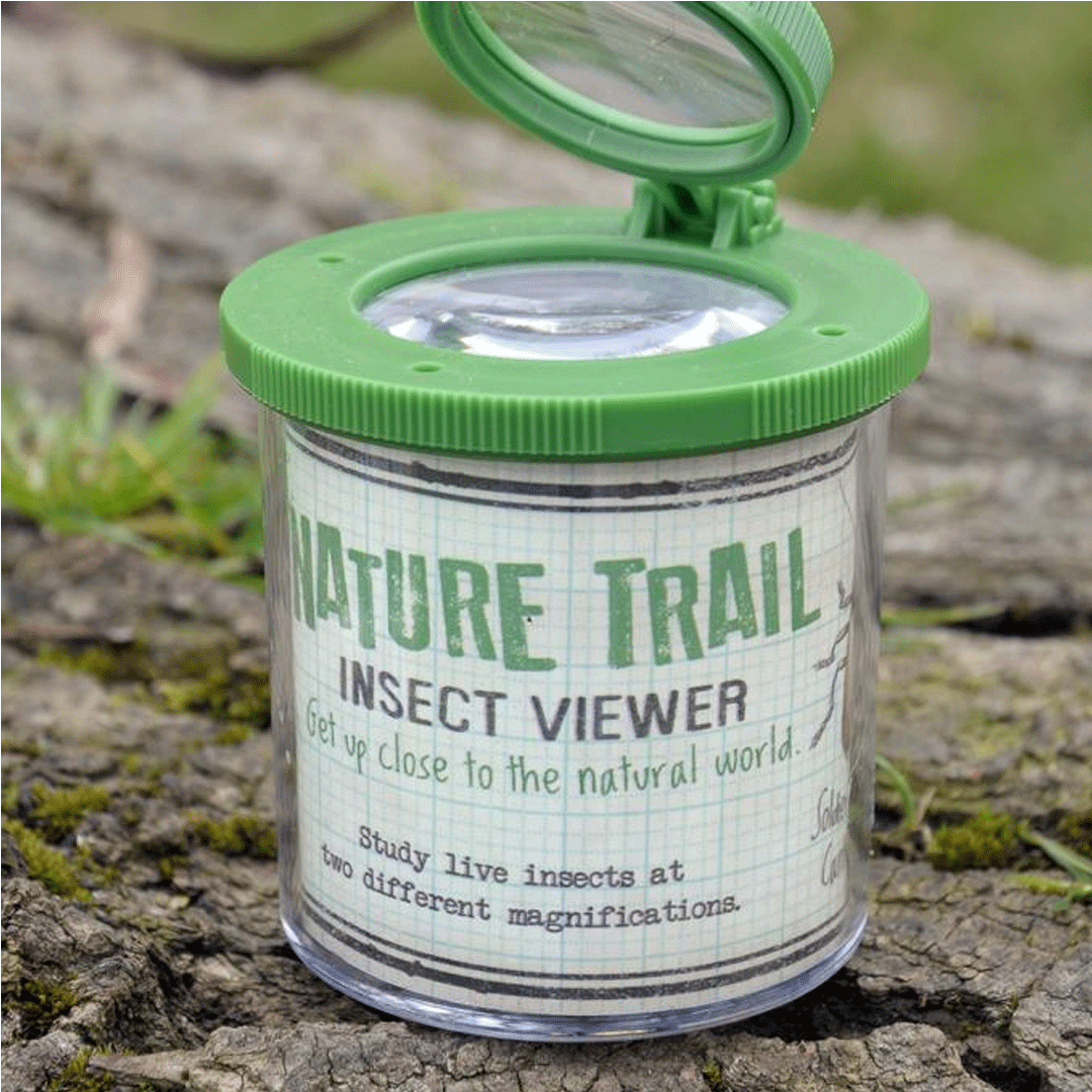 rex london insectendoosje met vergrootglas | 23947 | 1