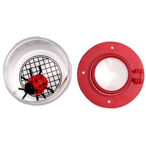 rex london insectendoosje met vergrootglas wonders of nature | 29368 | 2