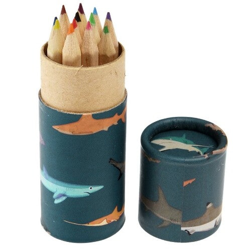 rex london kleurpotloden sharks - 12st | 29937 | 0
