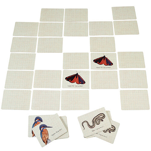 rex london memorie nature trail | 29617 | 1