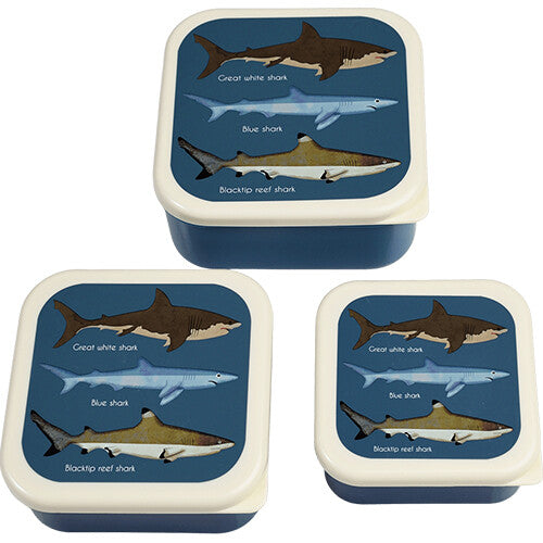 rex london snackdoosjes sharks - 3st | 29497 | 0