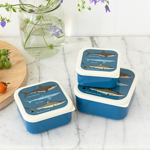 rex london snackdoosjes sharks - 3st | 29497 | 1