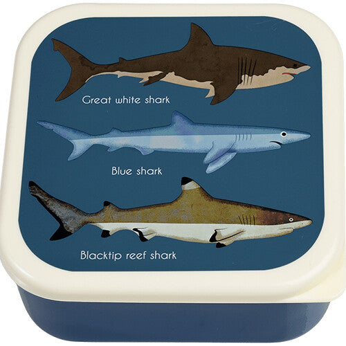 rex london snackdoosjes sharks - 3st | 29497 | 2