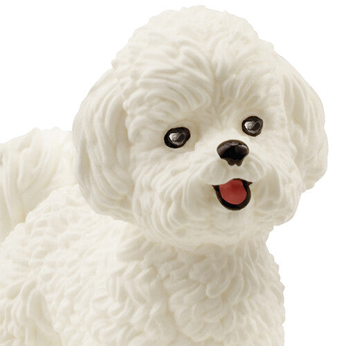schleich farm world bichon frisé - 4,5 cm | 13963 | 1