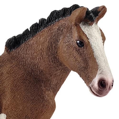schleich farm world clydesdale veulen - 8 cm | 13810  | 1