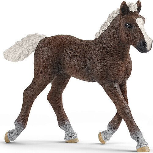 schleich farm world schwartzwälder veulen - 7,5 cm | 13899 | 0